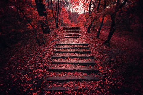 Autumn Stairs Photograph By Zoltan Toth Pixels