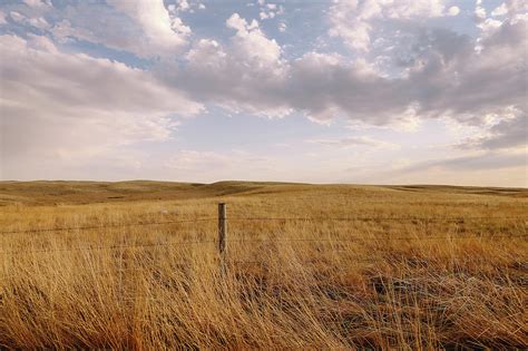 Tall Brown Grass Field With Fence And Photograph By Lori Andrews Fine