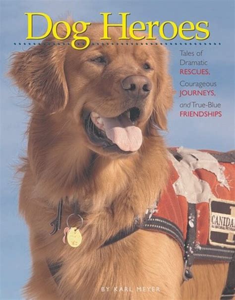 Dog Heroes Tales Of Dramatic Rescues Courageous Journeys And True