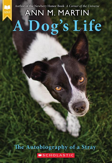 A Dogs Life The Autobiography Of A Stray Scholastic Gold Paperback