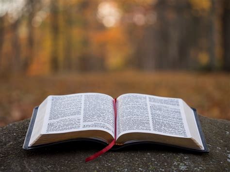 Những Câu Gốc Kinh Thánh được Dùng Nhiều Nhất Năm 2014