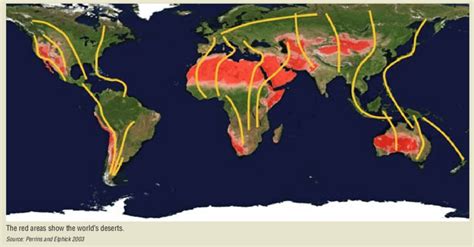 6 Major Migratory Bird Routes Of The World Download Scientific Diagram