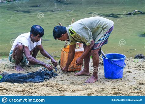 Tribal Fishermen Catch Fish With Fishing Nets In The Creek Tribals