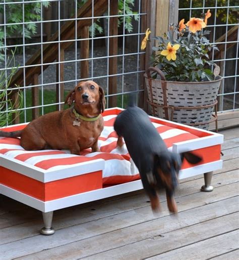 20 Cool Outdoor Dog Beds That Are Also Comfortable
