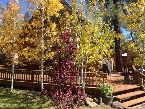 Maybe you would like to learn more about one of these? THE 10 BEST Munds Park Cabin Rentals, Cabins (with Photos ...