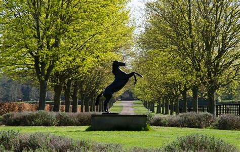 Take A Tour Of The National Stud Discover Newmarket Discover Newmarket