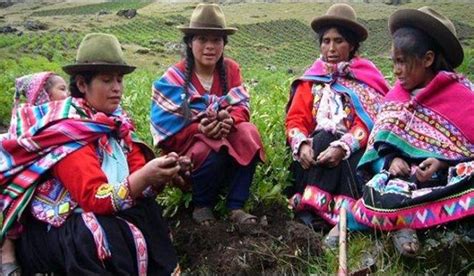 Según La Onu Una De Cada Tres Mujeres Indígenas Del Perú Fueron