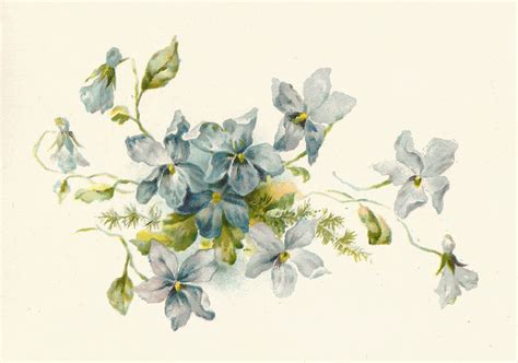 Antique Images Free Flower Clip Art Vintage Illustration Of A Bunch