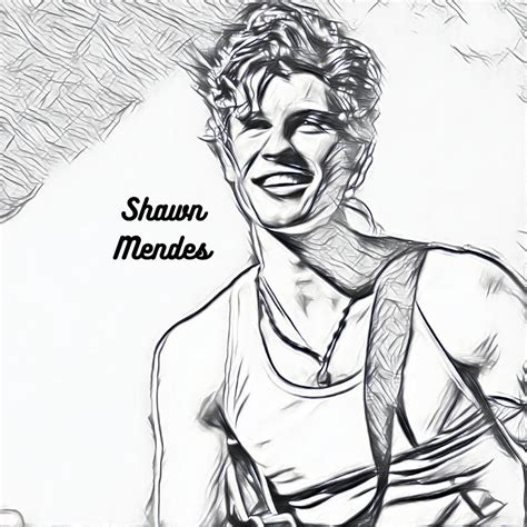Shawn Mendes Digital Art By Nathan Merrill