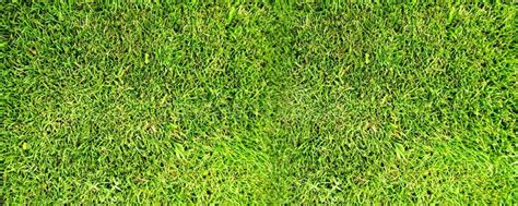 Grass Texturenatural Green Grass Texture Perfect Golf Or Football Field Backgroundgrass Field