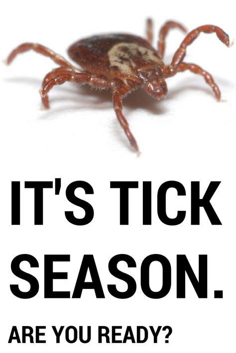 How To Protect Yourself From Ticks And Lyme Disease Artofit