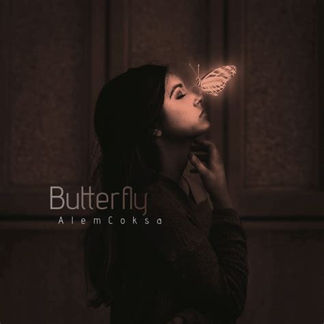 Fantasy Butterfly Cd Cover Art Template Postermywall