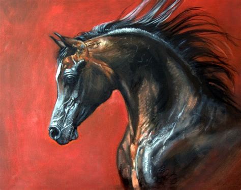 Beautiful Shiny Black Stallion With Wild Mane Wouldnt This Horse