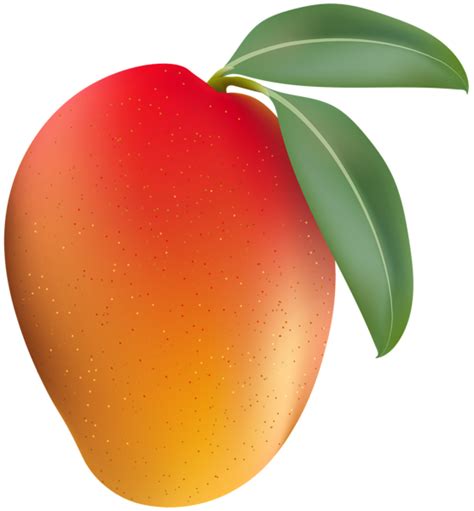 Mango Tree Clip Art Transparent