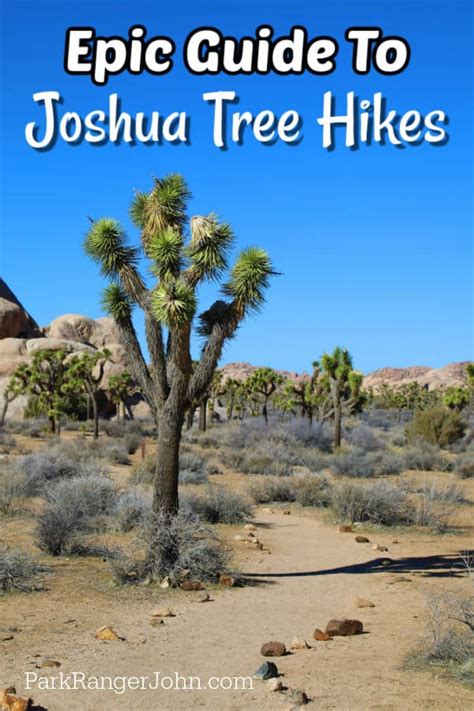 Epic Guide To Joshua Tree Hikes Park Ranger John