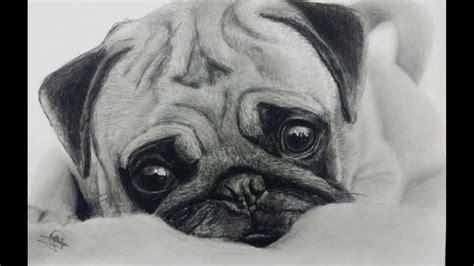 How To Draw A Cute Pug Easy Dog Drawing Tutorial For