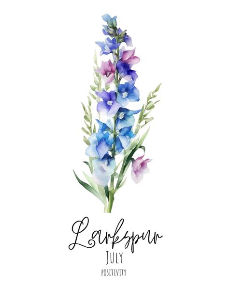 Purple Larkspur July Birth Month Flower Watercolor Digital Art Print