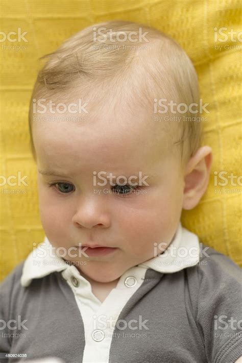 Portrait Of Confused Baby Boy Stock Photo Download Image Now 12 23