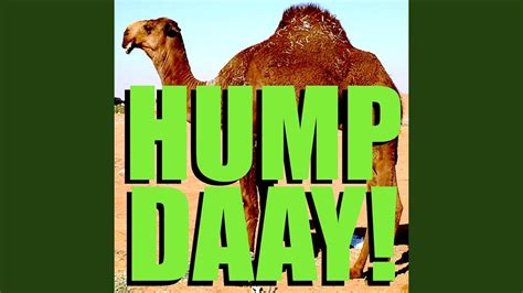 Geico Camel Hump Day Alert Tone Youtube