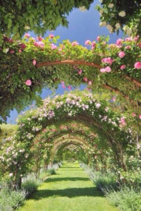 ꧁𝑐𝑜𝑡𝑡𝑎𝑔𝑒 𝑐𝑜𝑟𝑒꧂ Beautiful Gardens Nature Aesthetic Garden Design