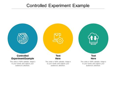 Controlled Experiment Example Ppt Powerpoint Presentation Professional