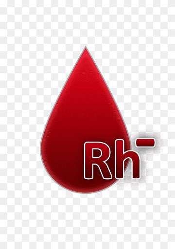 Blood Group 0 Rh Factor Negative Blood A Drop Of Blood Blood