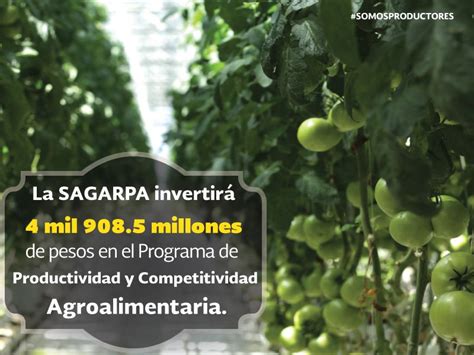 La Sagarpa Invertirá Cuatro Mil 9085 Millones De Pesos En El Programa