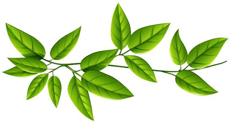 Leaf Green Clip Art Green Leaves Png Download 51642760 Free