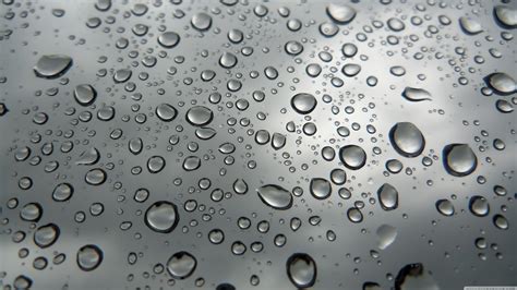 Rain Drops Wallpapers 3d Wallpaper Cave