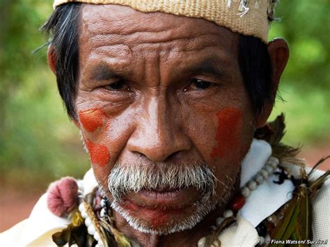 Guarani: Despair - Survival International