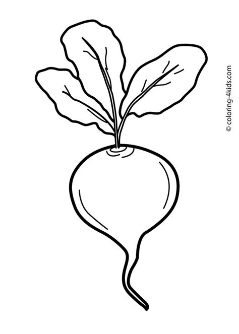 We collected all the various fruits and vegetables in the world of our colorings. Beet vegetable coloring page for kids, printable | Colorat ...