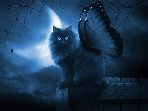 Fantasy Butterfly Cat Cat Animal Sweet Feline Fantasy Moon