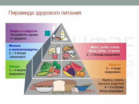 Диета 10 рекомендуемые продукты