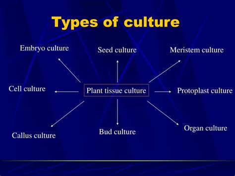 Ppt Ch5 Types Of Culture Powerpoint Presentation Free Download Id