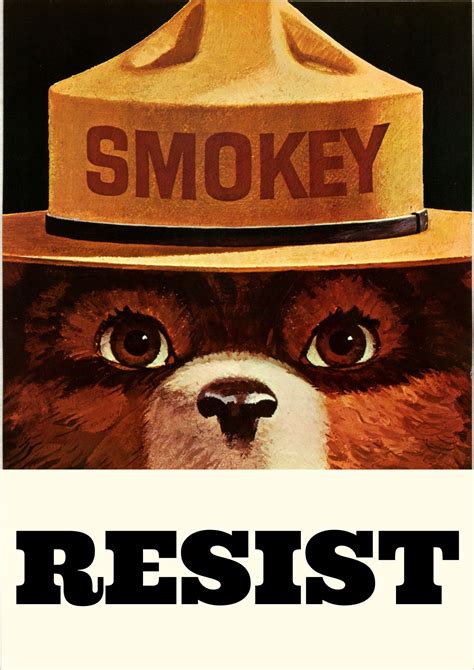 Pin By Lindsay On The Personal Is Political Smokey The Bears
