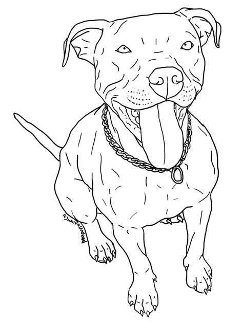 Pitbull coloring page from dogs category. Pitbull Coloring Pages Printable - Coloring Home