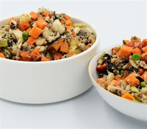 Consult a nutritionist, diabetes nurse educator or your doctor. Fish Recipe for Dogs for Homemade Dog Food | The Canine ...