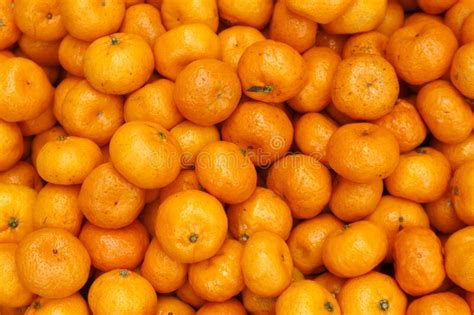 Bunch Of Fresh Kiat Kiat Or Mandarin Oranges Stock Image Image Of