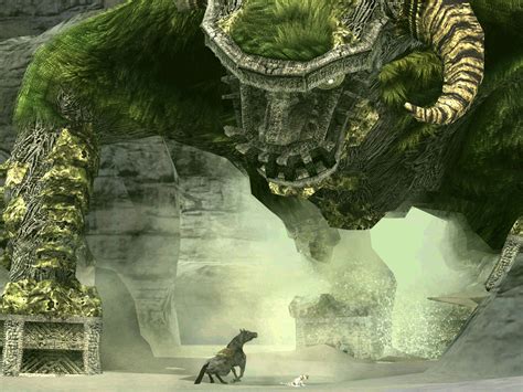 The Ico And Shadow Of The Colossus Collection Binary