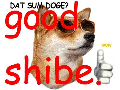 Dat Some Doge Good Shibe Doge Know Your Meme