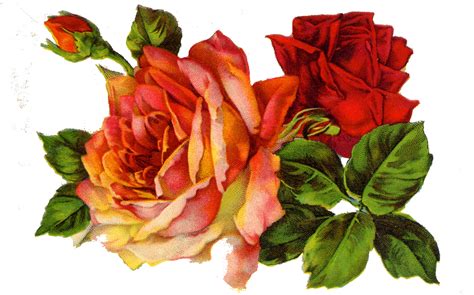 Free Vintage Roses Images Download Free Vintage Roses Images Png