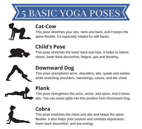 Yoga Poses For Beginners With Pictures Yoga Poses
