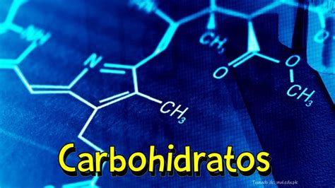 Carbohidratos Youtube