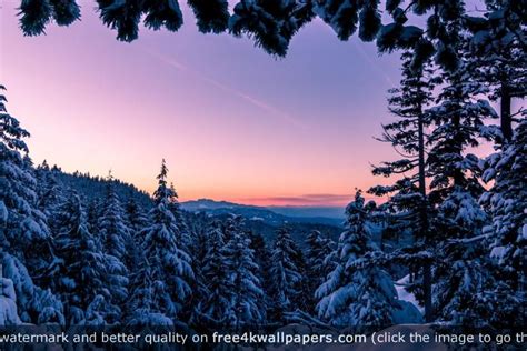Winter Wonderland Wallpaper ·① Download Free Stunning Wallpapers For