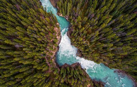 Photo Wallpaper Forest Nature River The View From Drone Forest