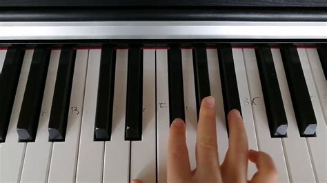 Bongo Cat Lets Go Piano Tutorial Youtube