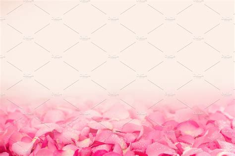 Pink Rose Petal Abstract Background ~ Abstract Photos