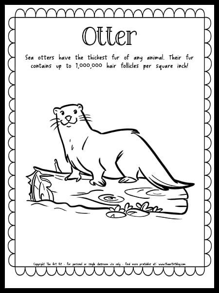 Otter Coloring Page With Fun Fact Free Printable Download The Art Kit
