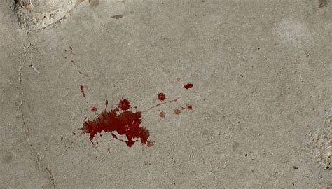 Bloody Crime Scene Stock Photos Pictures And Royalty Free Images Istock