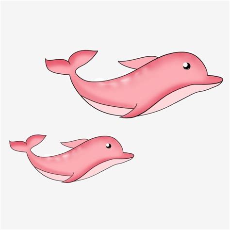 Pink Dolphin Clipart Transparent Png Hd Pink Dolphin Cartoon Animal